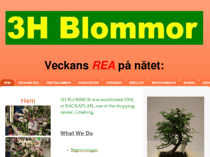 www.3h-blommor.com