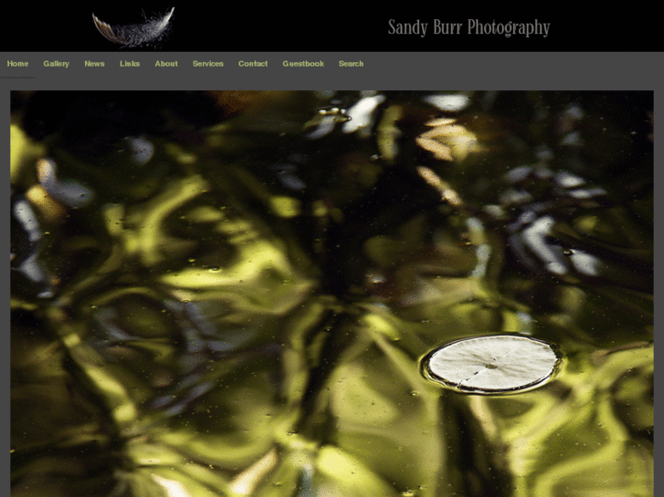 www.sandyburrphotography.com