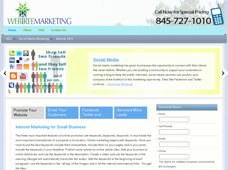 www.webtreemarketing.com