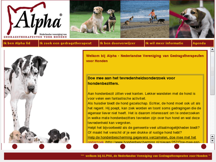 www.honden-gedragstherapie.nl