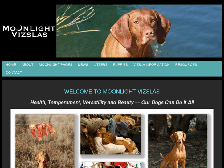 www.moonlightvizslas.com