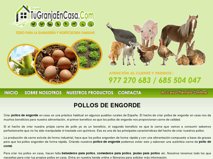 www.pollosdeengorde.com