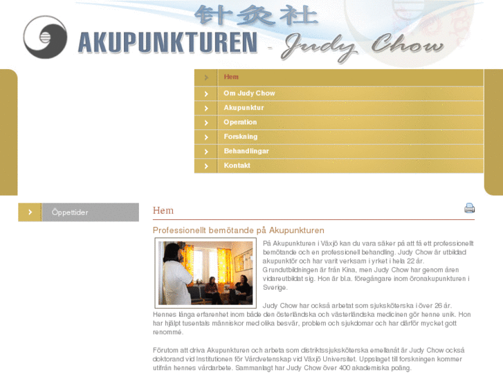 www.akupunkturen.info