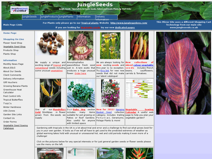 www.jungleseeds.com