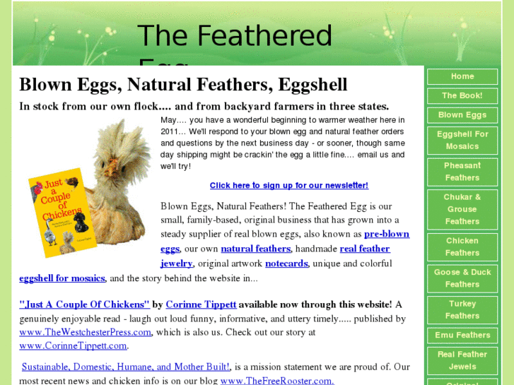 www.naturalfeathers.com