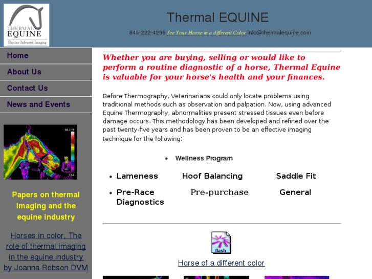 www.thermalequine.com