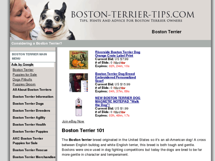 www.boston-terrier-tips.com