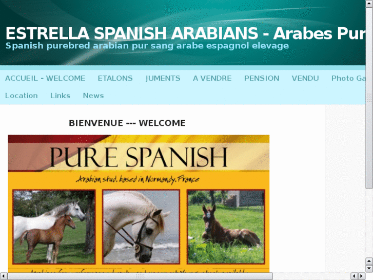 www.estrellaarabians.com