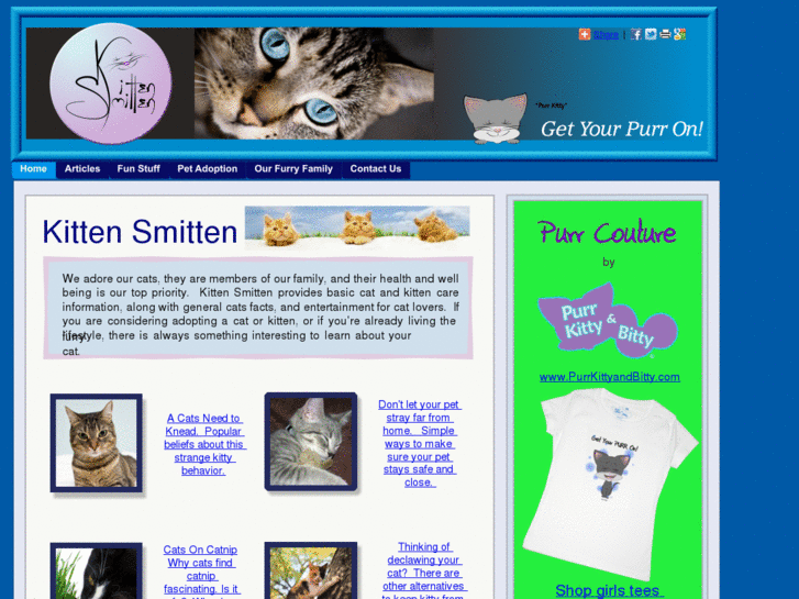 www.kitten-smitten.com