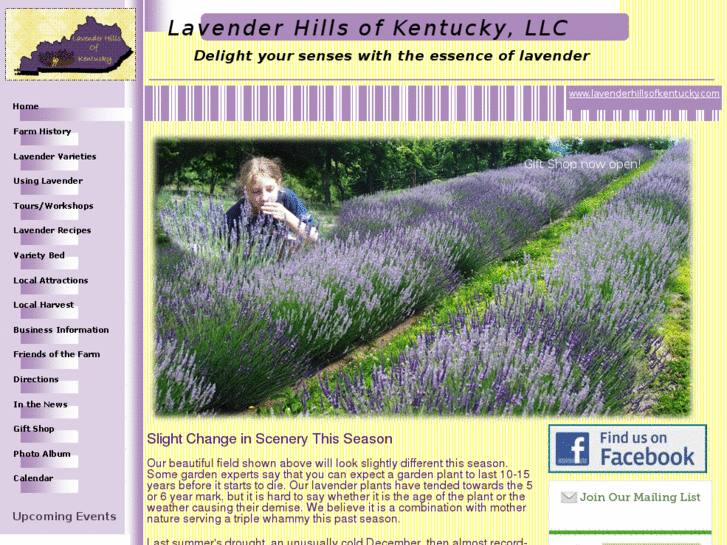 www.lavenderhillsofkentucky.com