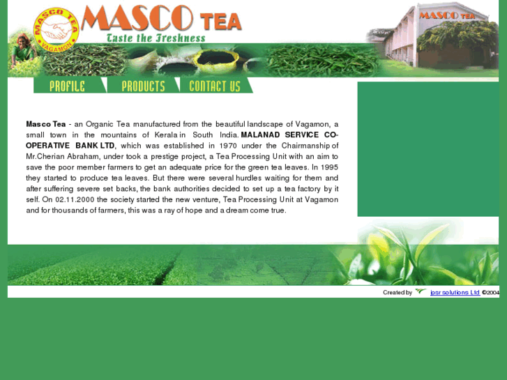 www.mascotea.com