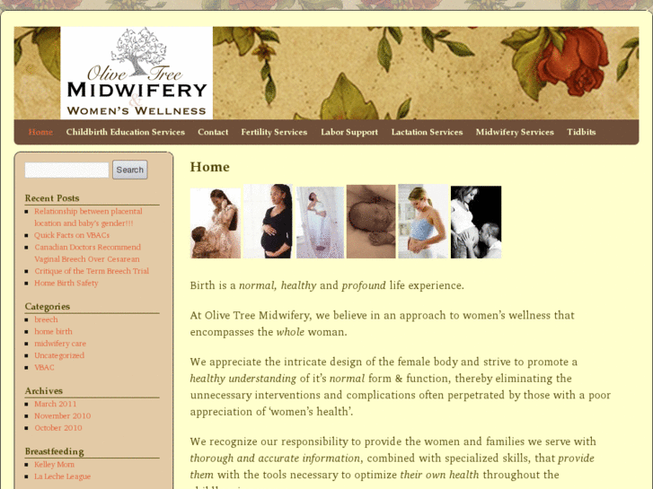 www.olivetreemidwifery.com