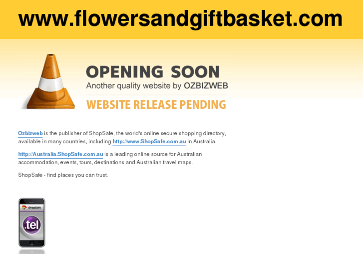 www.flowersandgiftbasket.com