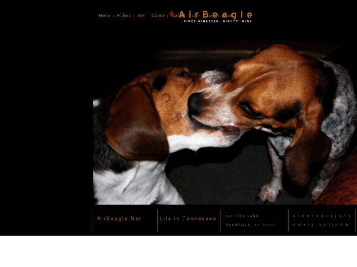 www.airbeagle.us