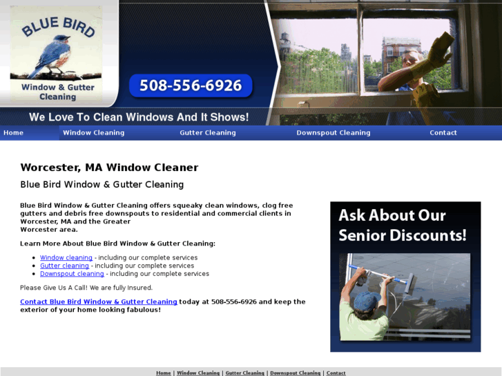 www.bluebirdwindowandgutter.com