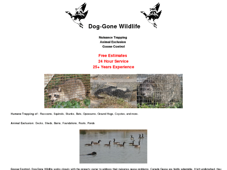 www.doggonewildlife.com