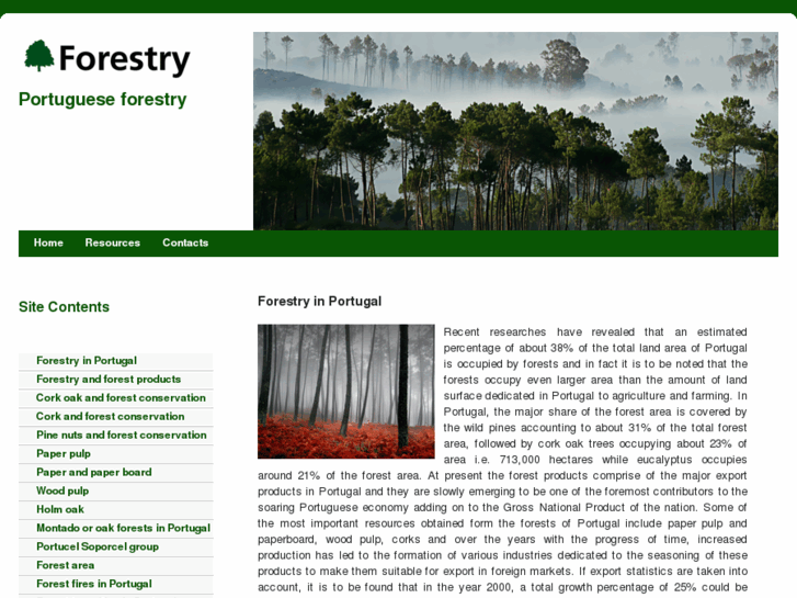 www.forestry.pt