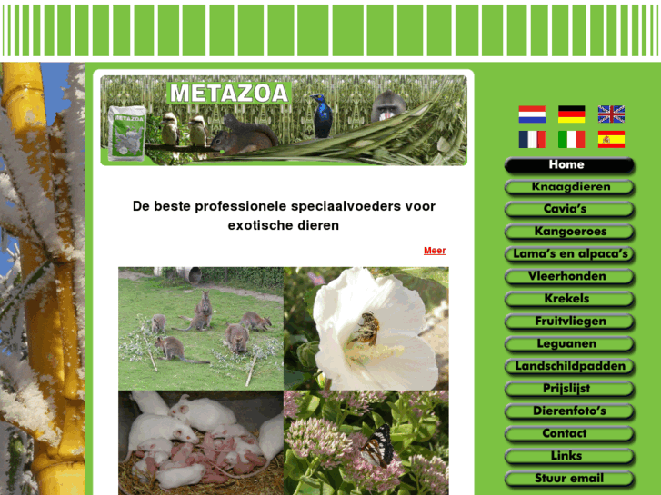 www.metazoa.nl