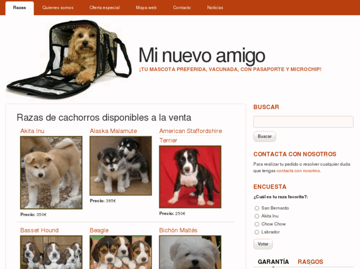 www.minuevoamigo.com