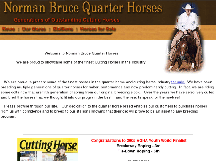 www.nbrucequarterhorses.com