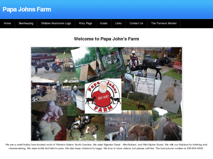 www.papajohnsfarm.com