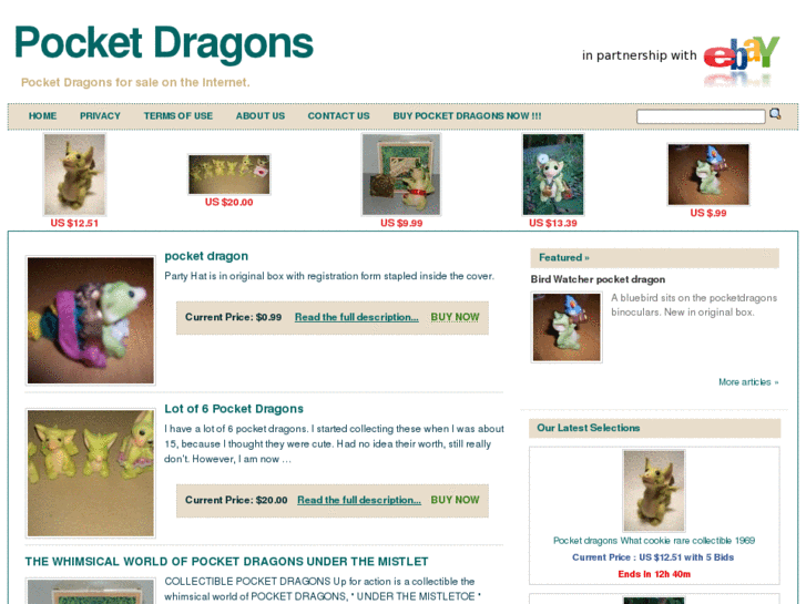 www.pocketdragons.net