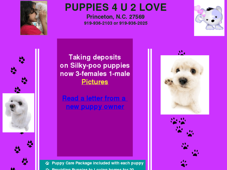 www.puppies4u2love.com