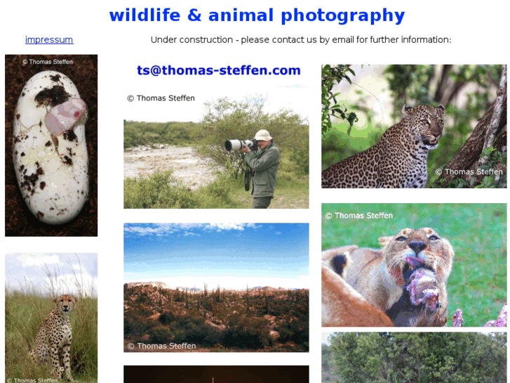 www.thomas-steffen.com