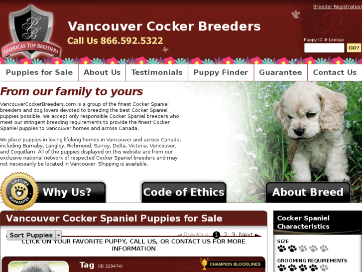 www.vancouvercockerbreeders.com