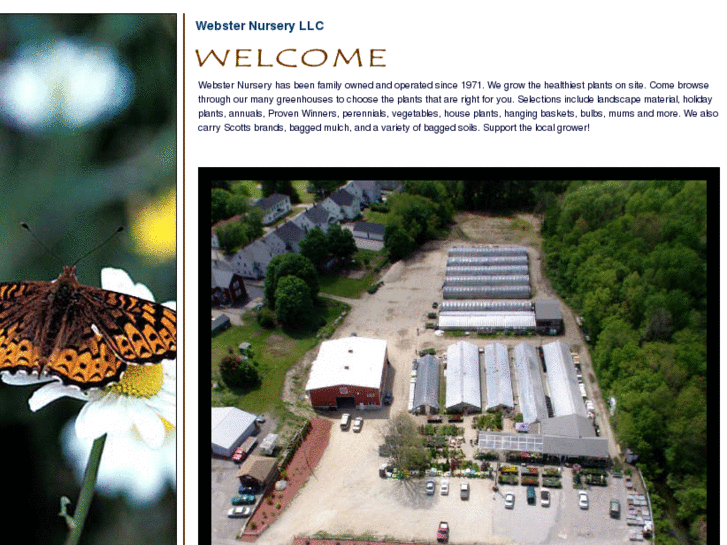 www.websternursery.com