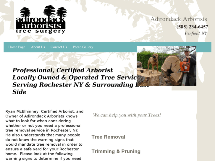 www.adirondackarborists.com