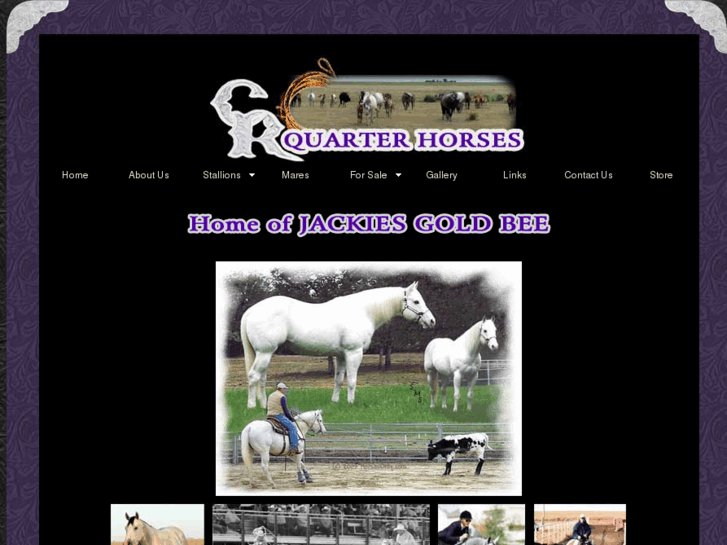 www.crquarterhorses.com