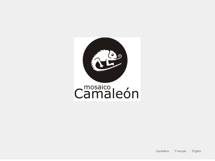 www.mosaicocamaleon.com