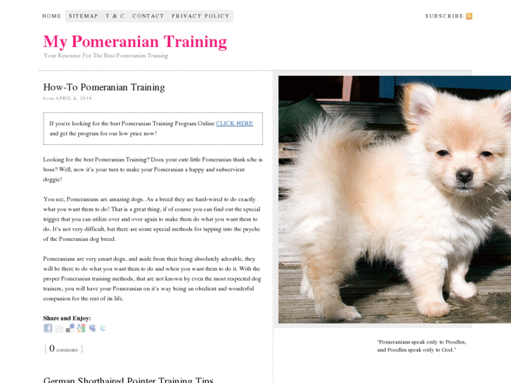 www.mypomeraniantraining.com