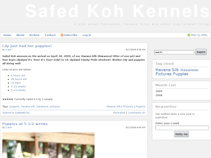 www.safedkoh.com