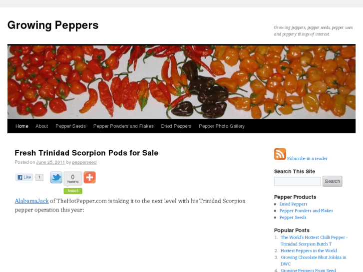 www.thepepperseed.com