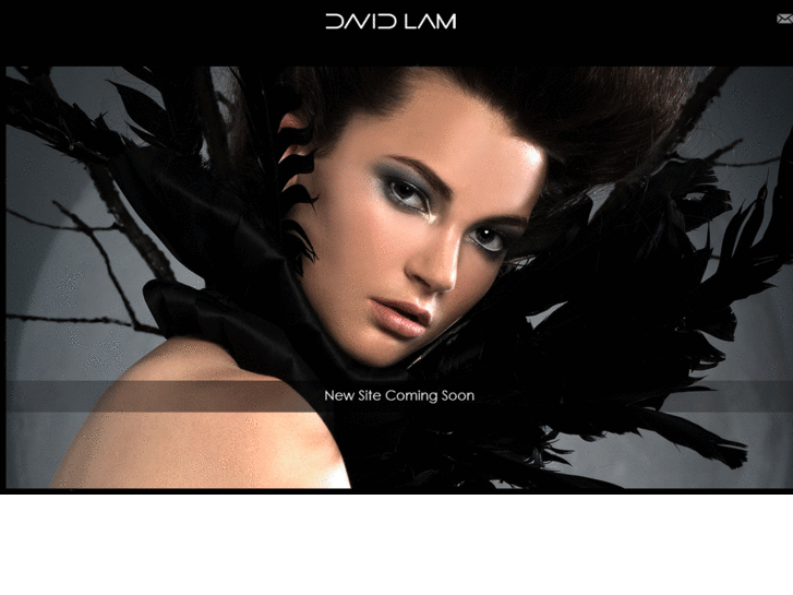www.davidlam.co.uk
