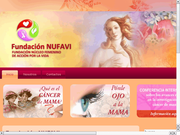 www.fundacionnufavi.org