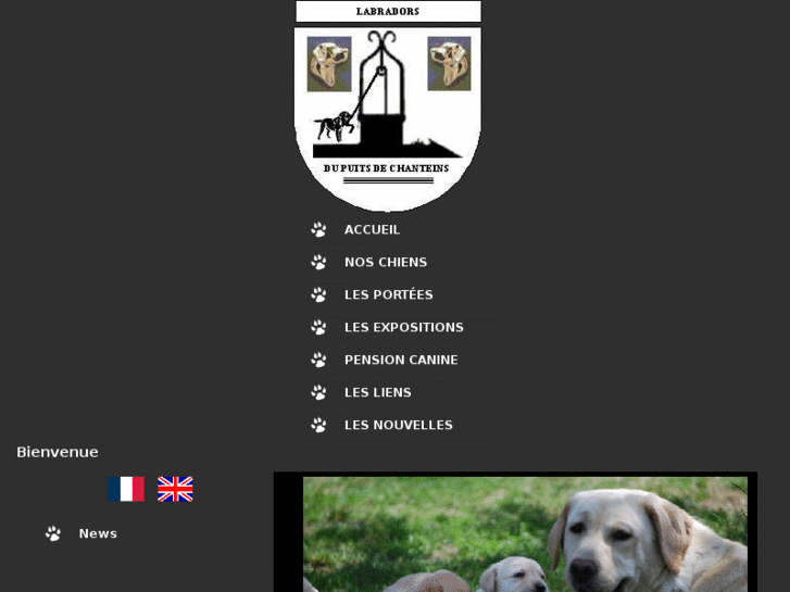 www.labradors-du-puits-de-chanteins.com