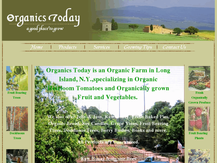 www.organicstodayfarms.com