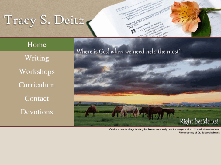 www.tracysdeitz.com