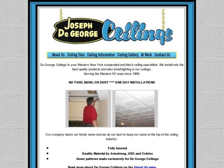 www.ceilingsbydegeorge.com