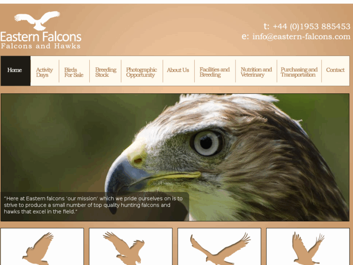 www.eastern-falcons.com