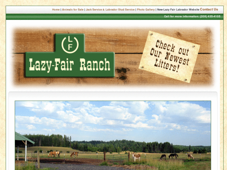 www.lazyfairranch.com