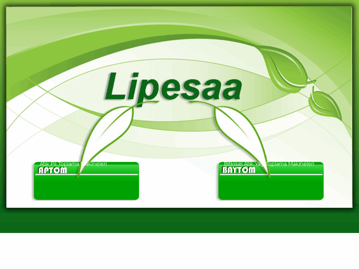 www.lipesaa.com