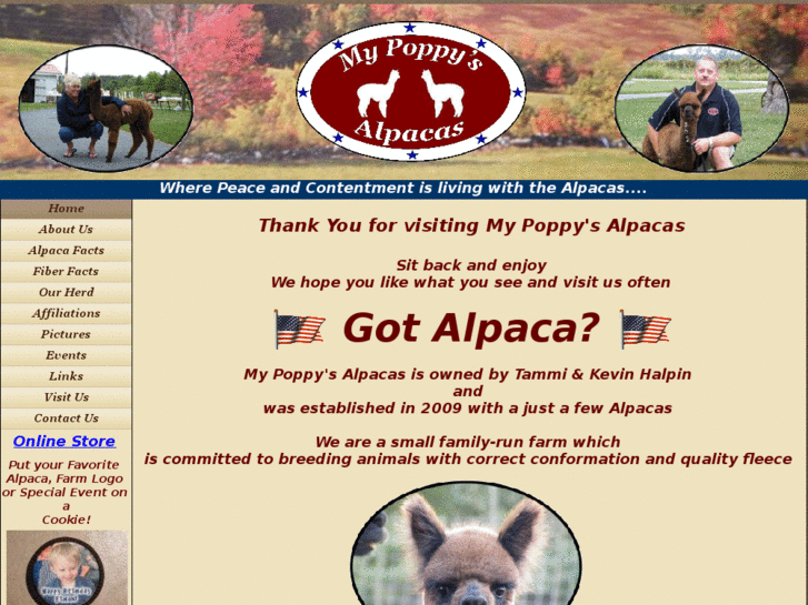 www.mypoppysalpacas.com