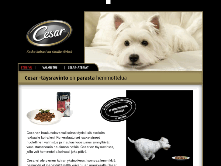 www.cesar.fi