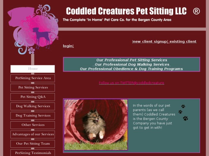 www.coddledcreatures.com