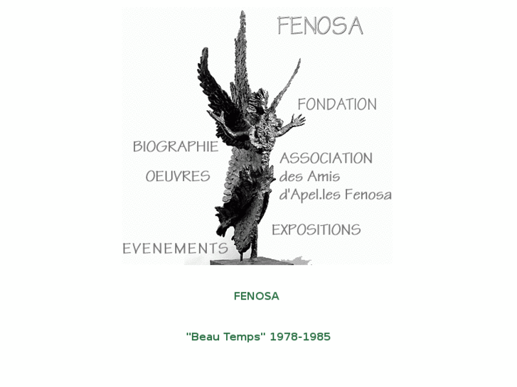 www.fenosa.org