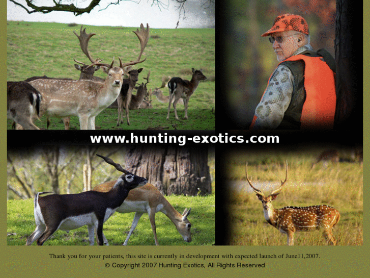 www.hunting-exotics.com